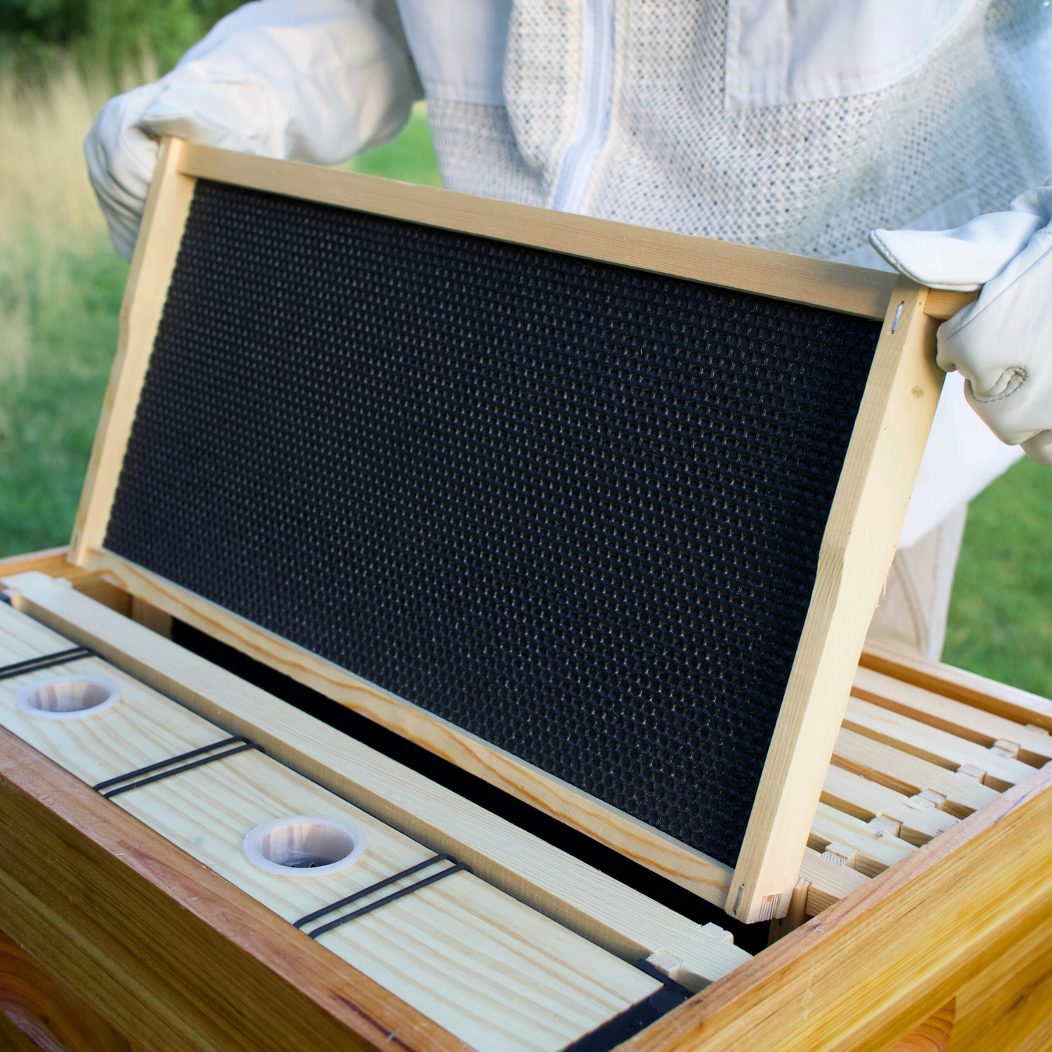 A man in a ventilated bee suit displaying a wax dipped deep frame by pulling it half way out of the hive.