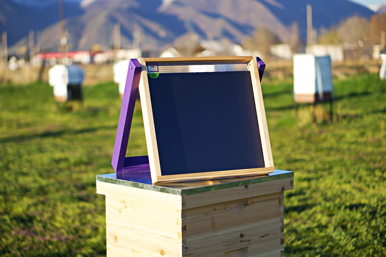 HiveHeater is displayed on the top of a hive with other hives with HiveHeaters blurred but visible farther back in the field.