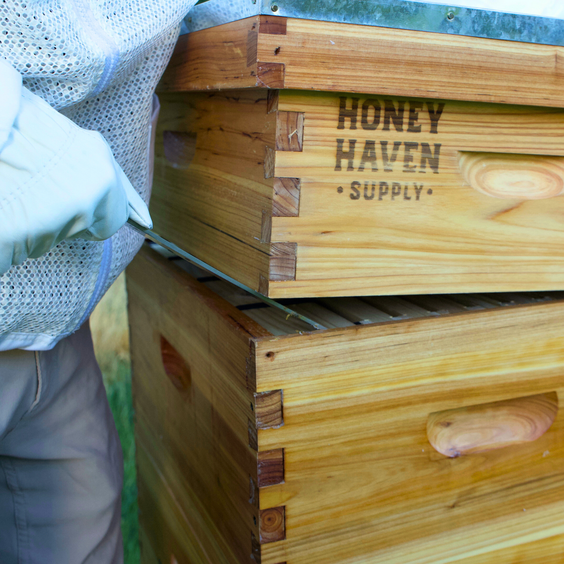 Close up of a person in a beekeeping suit cracking open a hive with a metal hive tool wearing leather beekeeping gloves.