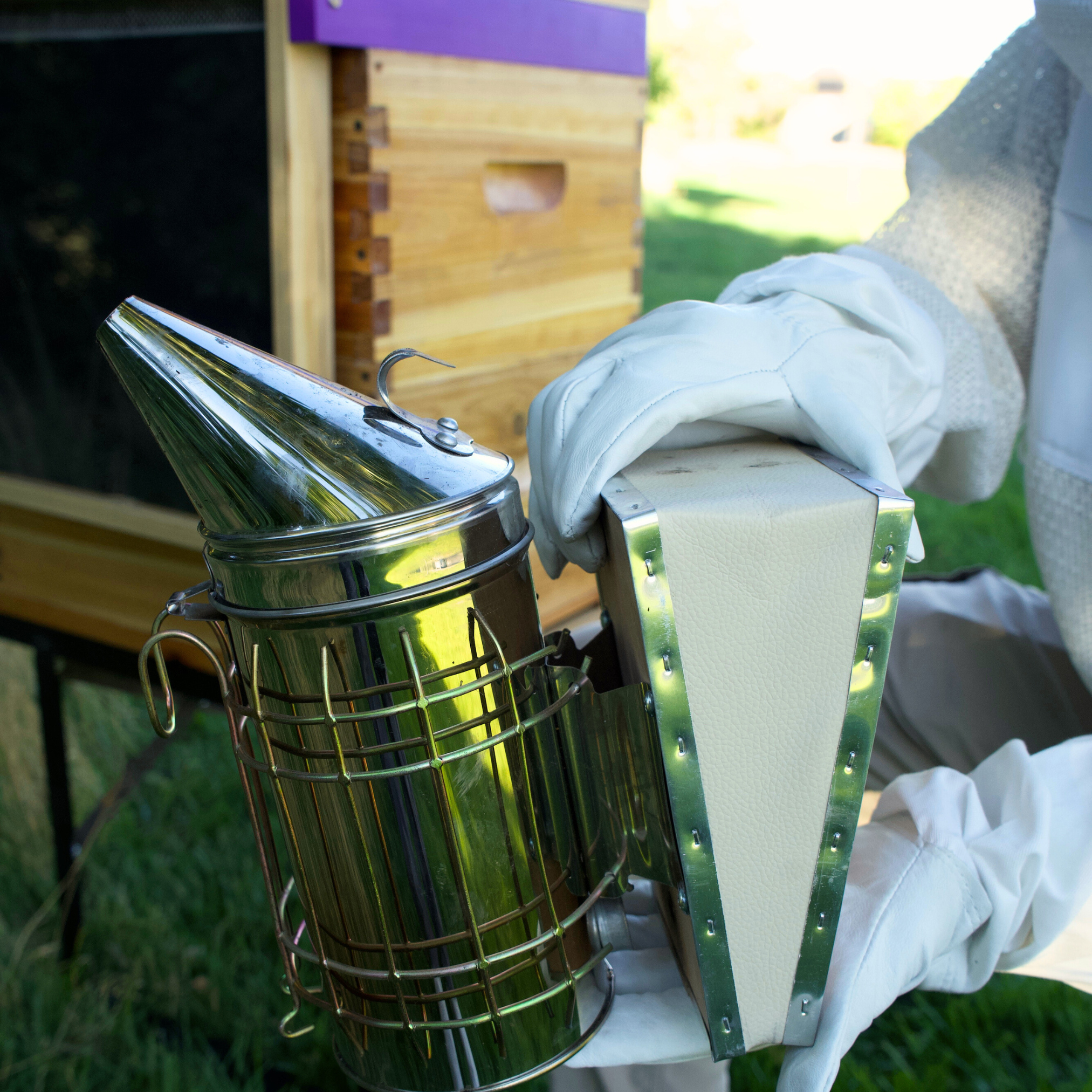 Leather beekeeping glove holds a stainless steel smoker to display.