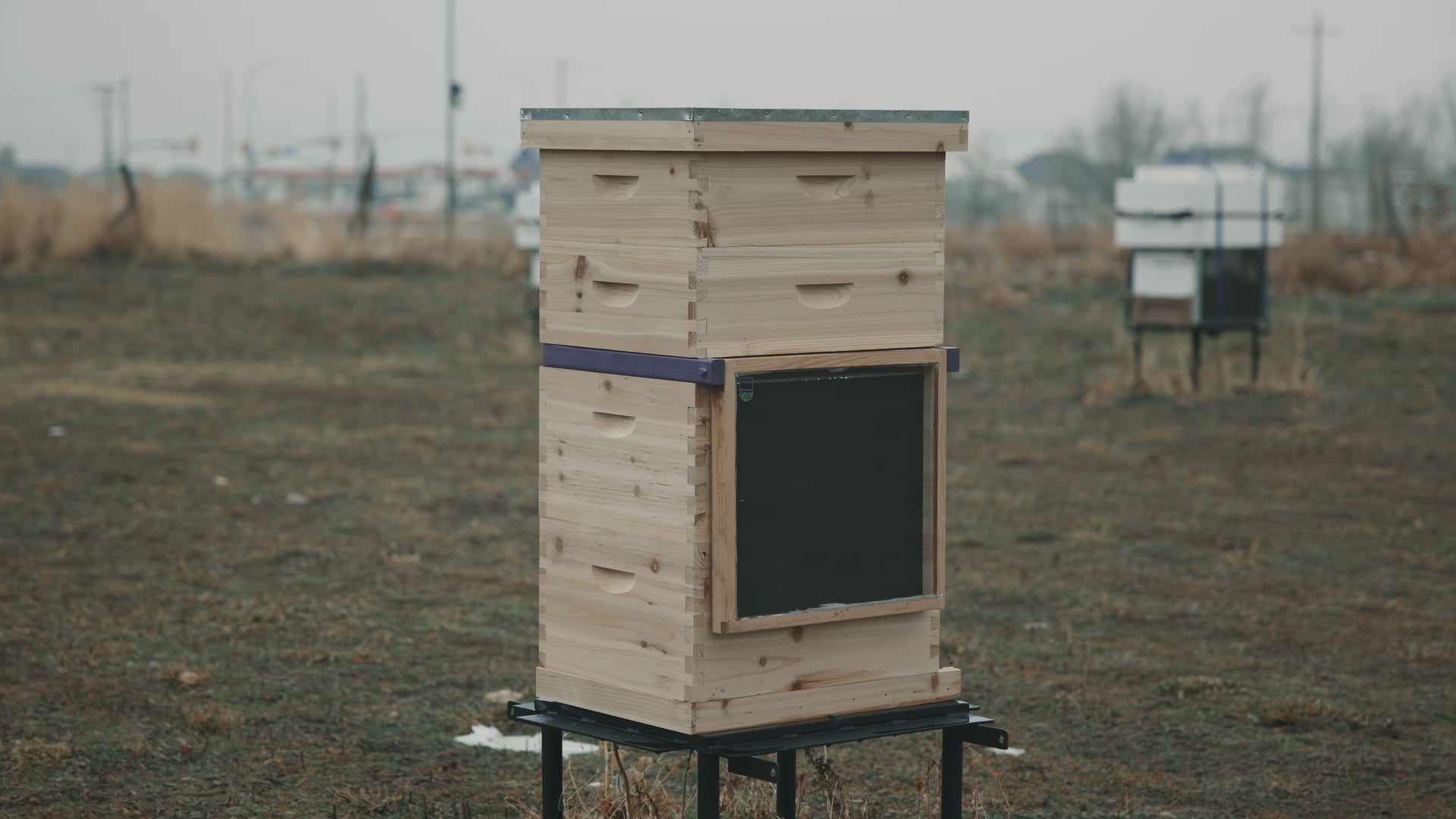 A video of the HiveHeater installed on a hive in a field in winter